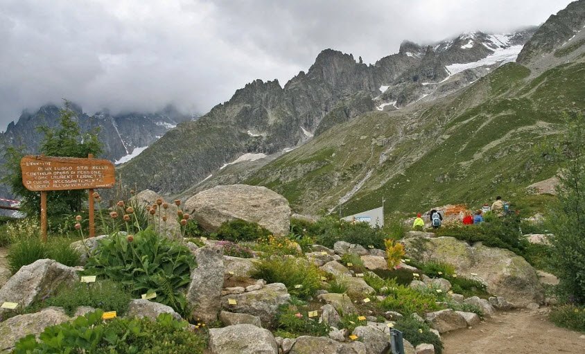 Giardino Botanico Alpino Saussurea, Italy